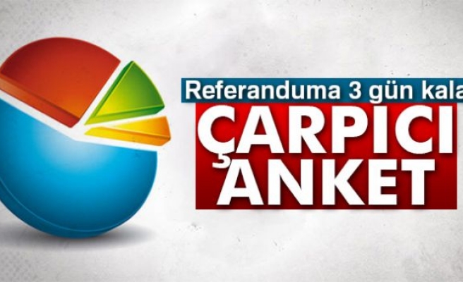 İşte Son Referandum Anketi