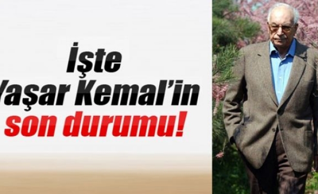 İşte Yaşar Kemal'in son durumu