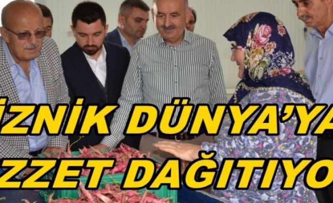 “İZNİK DÜNYA’YA LEZZET DAĞITIYOR”