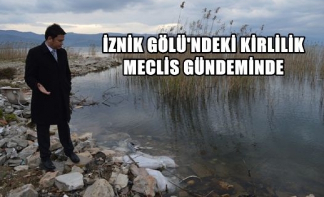 İznik Gölündeki Kirlilik Meclis Gündeminde