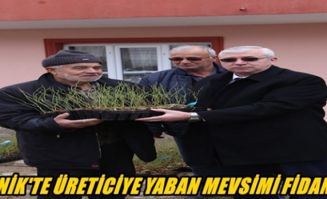 İznikli üreticiye ‘Yaban Mersini’ fidesi