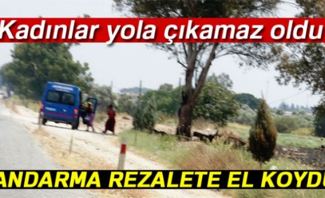 Jandarma rezalete el koydu!