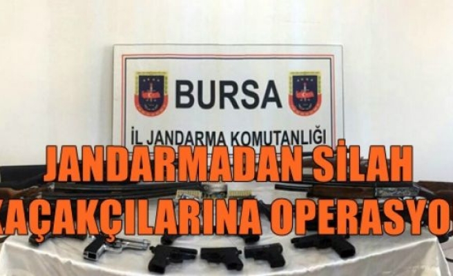 Jandarmadan Silah Kaçakçılarına Operasyon