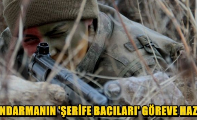 Jandarmanın 'Şerife Bacıları' göreve hazır