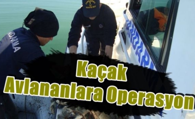 Kaçak Avlananlara Operasyon