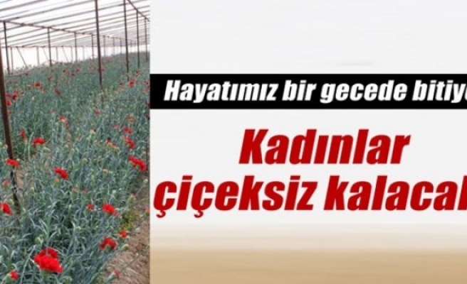 Kadınlar don nedeniyle kadınlar çiçeksiz kalacak