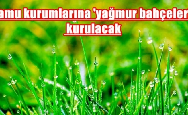 Kamu kurumlarına 'yağmur bahçeleri' kurulacak