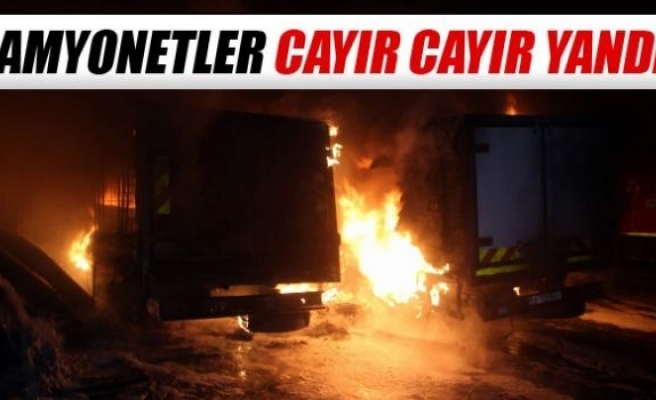 Kamyonetler cayır cayır yandı