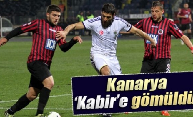 Kanarya 'Kabir'e gömüldü!