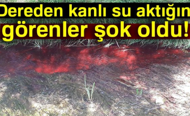 KANLI SU ŞOK ETTİ!