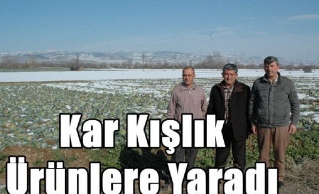 Kar Kışlık Ürünlere Yaradı