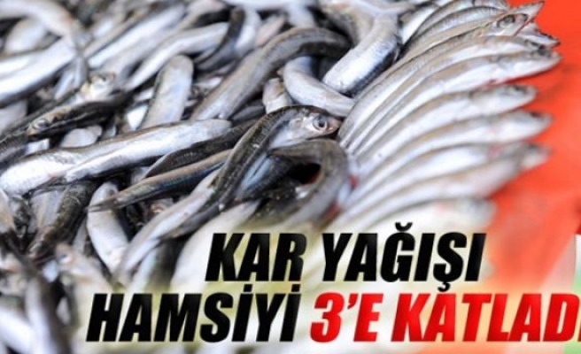 Kar yağışı hamsi fiyatını 3'e katladı