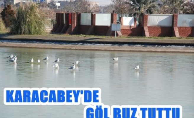 Karacabey’de göl dondu