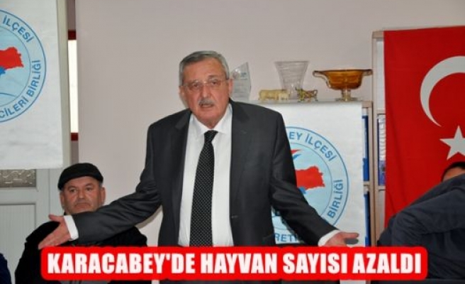 Karacabey'de Hayvan Sayısı Azaldı