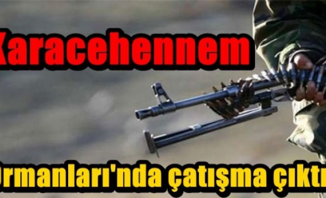 Karacehennem Ormanları'nda çatışma çıktı!