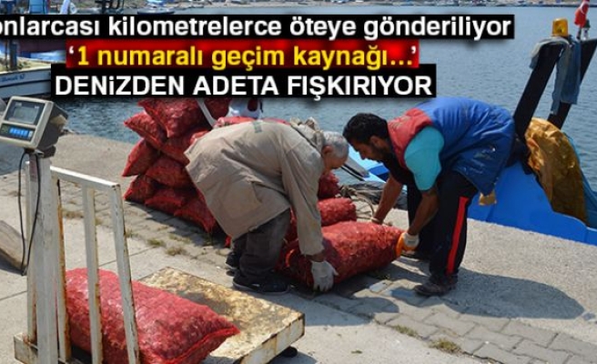 Karadeniz dibinden Uzakdoğu'ya 