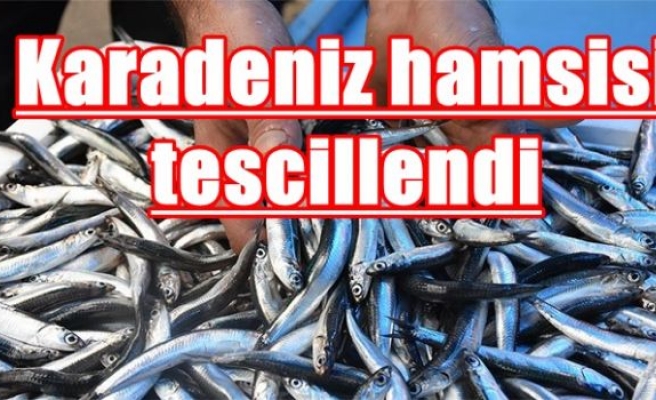 Karadeniz hamsisi tescillendi