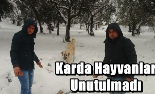 Karda Hayvanlar Unutulmadı