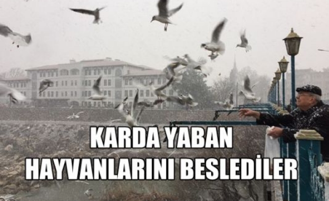 Karda yaban hayvanlarını beslediler