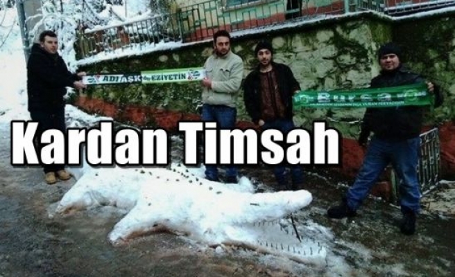 Kardan Timsah