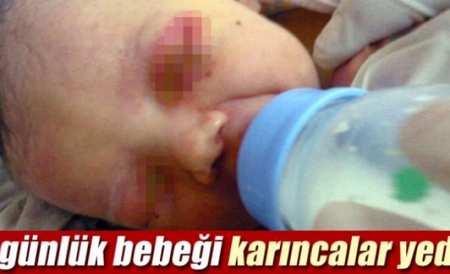 Karıncalar 3 günlük bebeği yedi