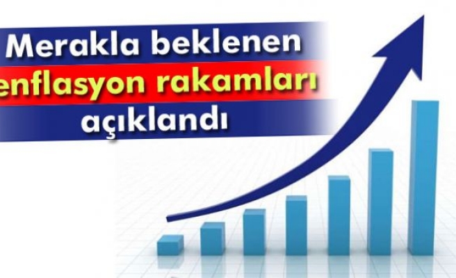 Kasım ayı enflasyon rakamları açıklandı