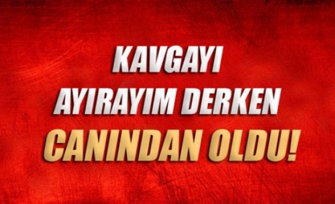 Kavgayı ayırayım derken canından oldu