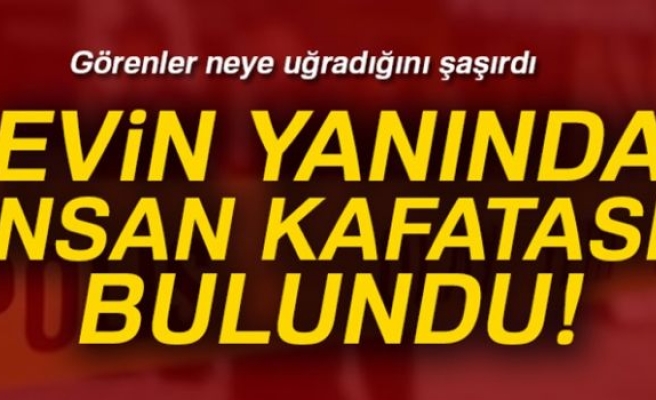 Kayseri’de insan kafatası bulundu