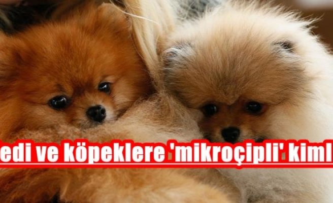 Kedi ve köpeklere 'mikroçipli' kimlik