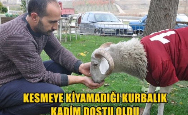 Kesmeye kıyamadığı kurbanlık kadim dostu oldu