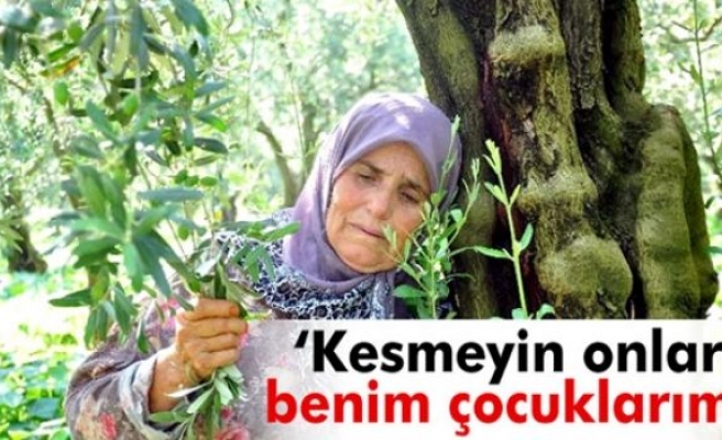 'Kesmeyin, onlar benim çocuklarım'