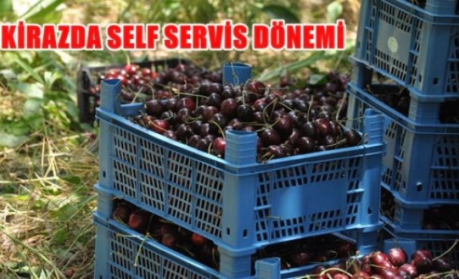 Kirazda self servis dönemi