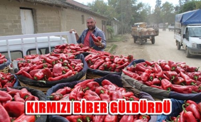 Kırmızı biber güldürdü