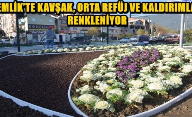 Kış şartlarına uygun rengarenk çiçekler