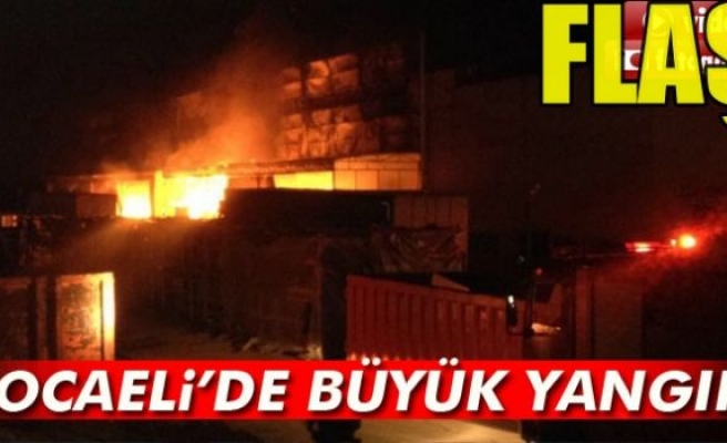 Kocaeli'de Yangın!