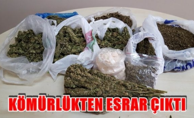 Kömürlükten esrar çıktı