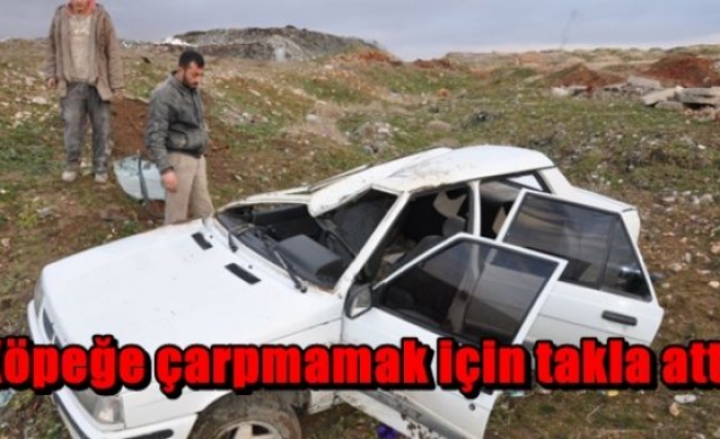 Köpeğe çarpmamak için takla attı