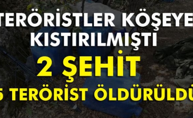 Köşeye kıstırılmışlardı: 5’i öldürüldü