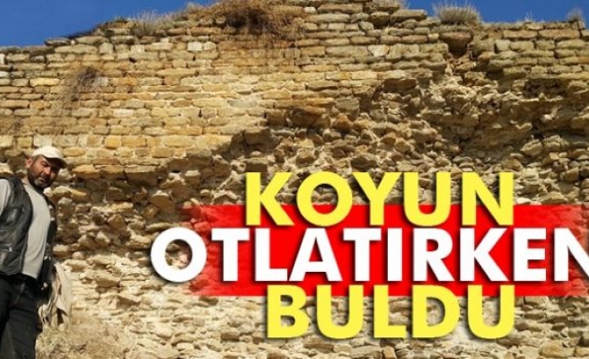 Koyun otlatırken tarihi kalıntı buldu