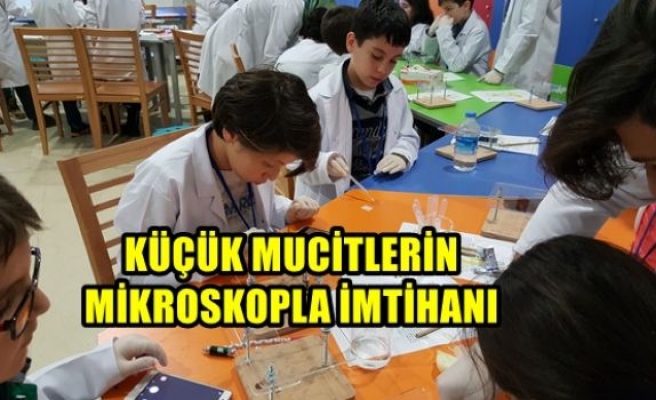 Küçük Mucitlerin Mikroskopla İmtihanı