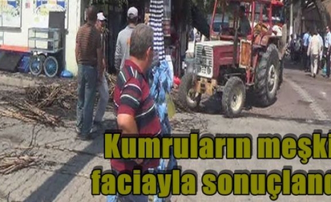 Kumruların meşki faciayla sonuçlandı