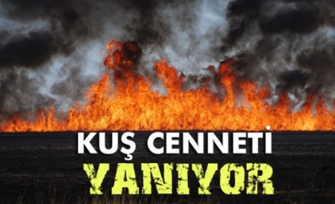 Kuş Cenneti yanıyor