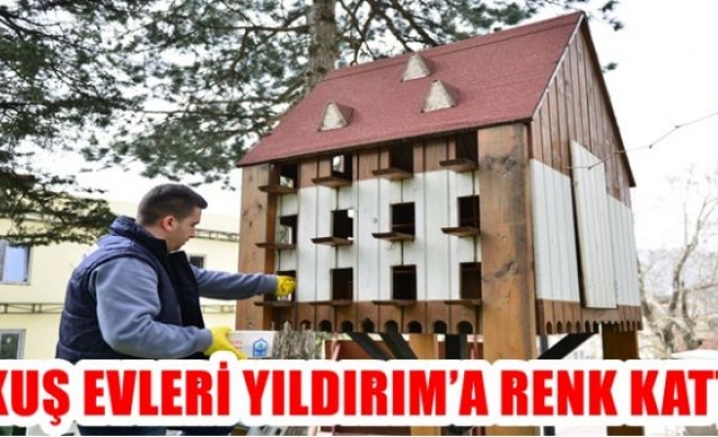 KUŞ EVLERİ YILDIRIM’A RENK KATTI