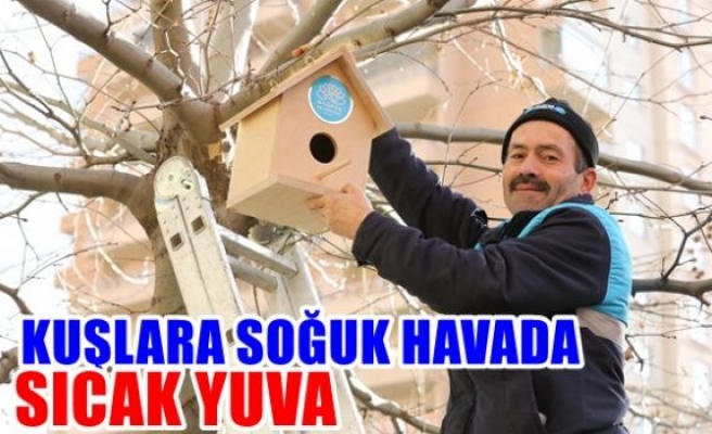 Kuşlara soğuk havada sıcak yuva