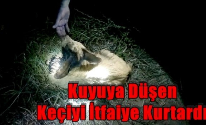 Kuyuya Düşen Keçiyi İtfaiye Kurtardı