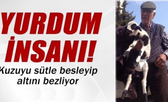 Kuzuyu torunlarından ayırmıyorlar