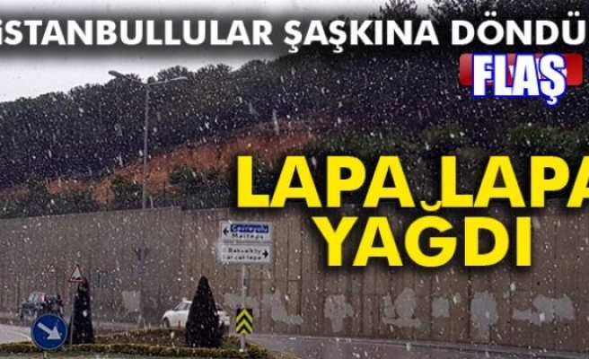 LAPA LAPA YAĞDI!