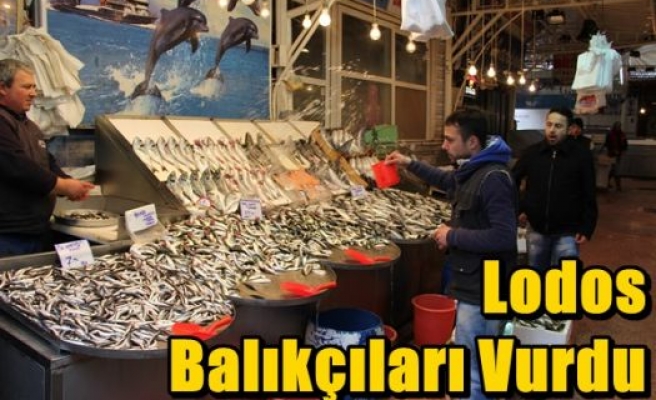 Lodos Balıkçıları Vurdu