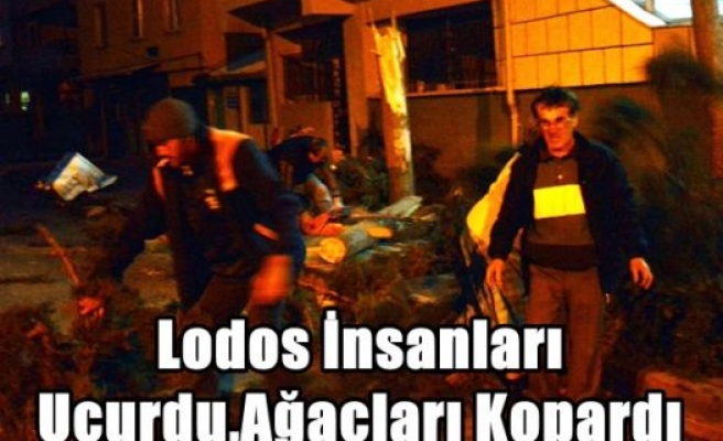 Lodos İnsanları Uçurdu,Ağaçları Kopardı