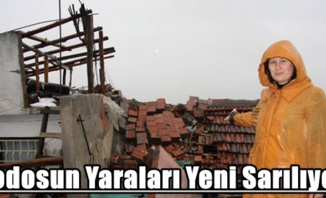 Lodosun Yaraları Yeni Sarılıyor